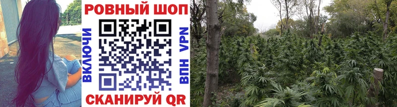 Купить закладку ГАШИШ  COCAIN  Мефедрон  Каннабис  Дятьково