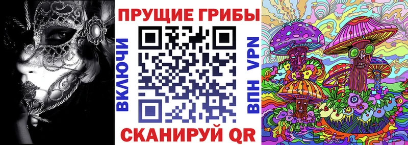 Купить закладки  Дятьково  Галлюциногенные грибы прущие грибы 